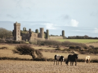 ardmore-gallery-img-4