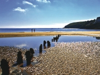 ardmore-gallery-img-8