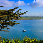 Ardmore Pattern Festival