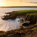 Ardmore Pattern Festival